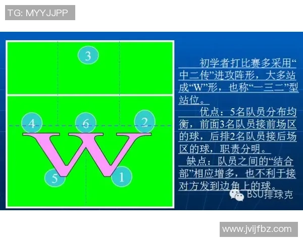 上海排球队在锦标赛中的战术表现分析与总结