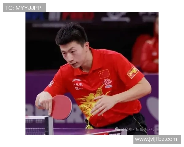 乒乓球传奇杨磊的职业生涯与心路历程深度对话 乒乓球传奇杨磊的职业生涯与心路历程深度对话