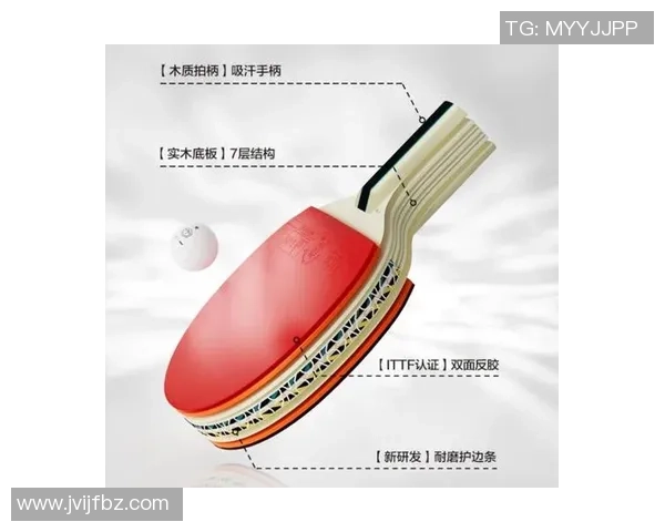 乒乓球新手必看：从零基础到比赛高手的实用技巧与经验分享