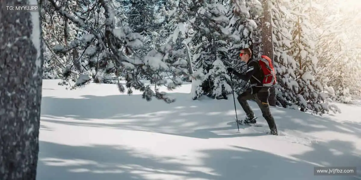 全球赛事同步直播，精彩瞬间不容错过！⚽